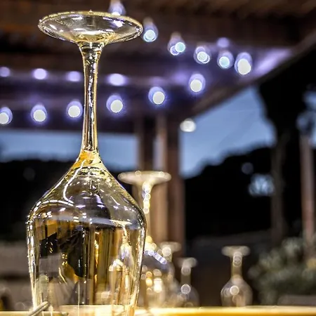 Arohaz & Restaurante فندق